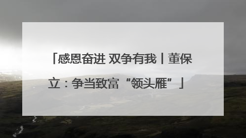 感恩奋进 双争有我丨董保立：争当致富“领头雁”